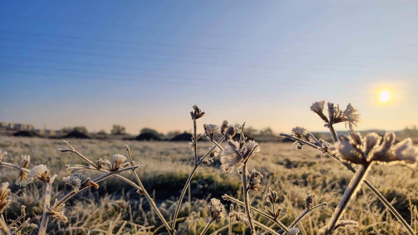 vremea până în 3 februarie. când va fi cel mai