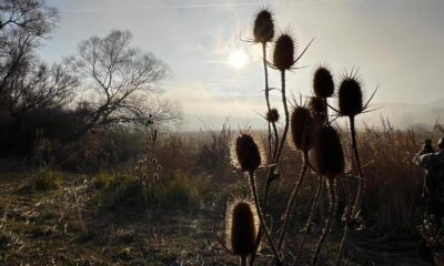 vremea până la mijlocul lunii februarie: temperaturi neobișnuite, zile cu