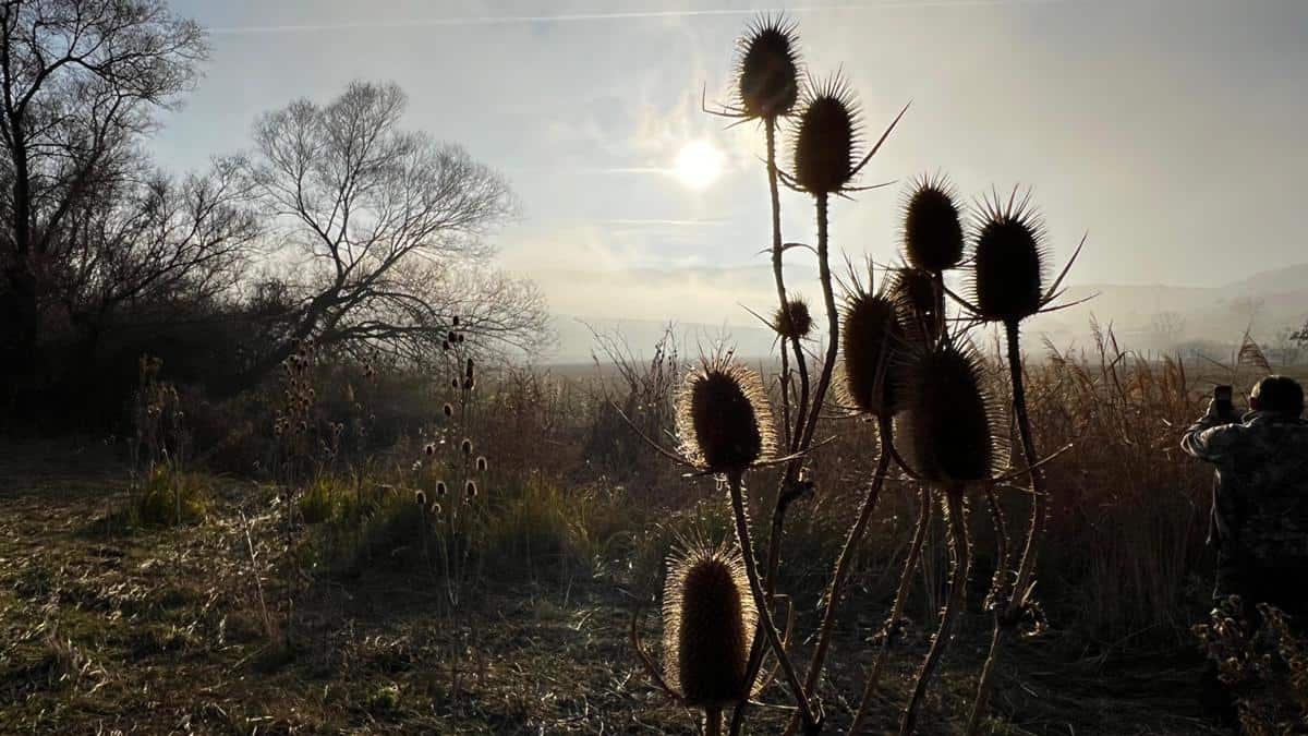 vremea până la mijlocul lunii februarie: temperaturi neobișnuite, zile cu