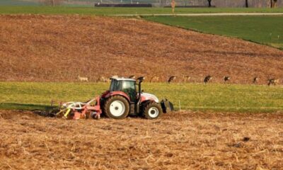 apia primește cereri de plată pentru rambursarea ajutorului de stat