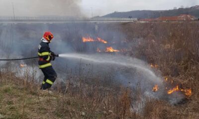 foto: incendiu de vegetație la blaj. pompierii intervin cu o