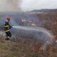 foto: incendiu de vegetație la blaj. pompierii intervin cu o