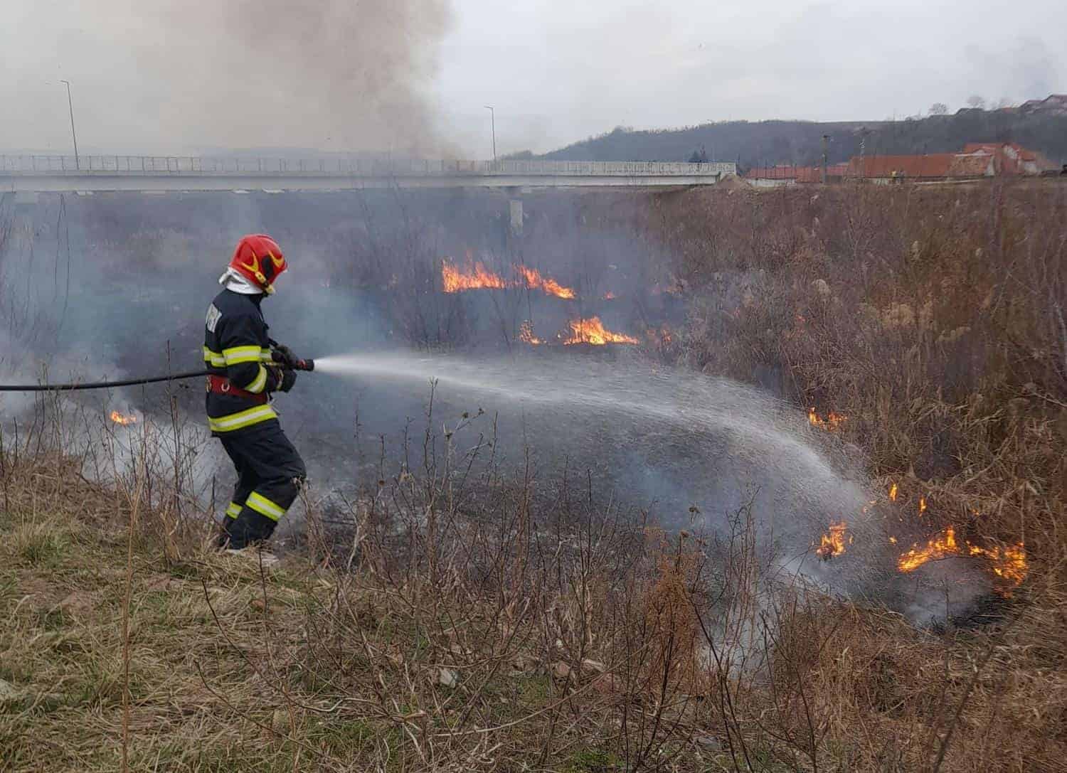 foto: incendiu de vegetație la blaj. pompierii intervin cu o