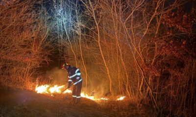 foto: incendiu de vegetație uscată extins pe 3 hectare. intervenție