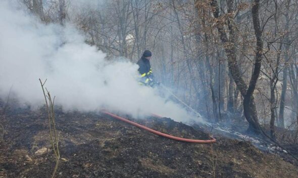 foto: incendiu de vegetație uscată în abrud. pompierii din alba