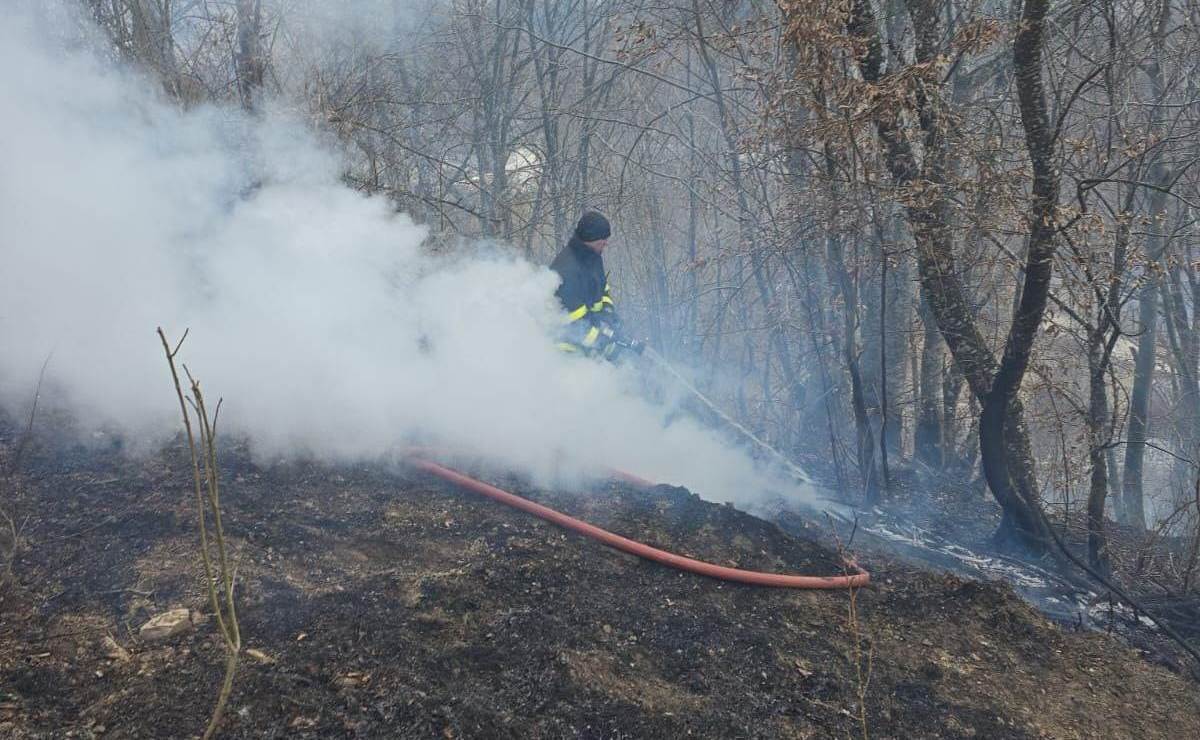 foto: incendiu de vegetație uscată în abrud. pompierii din alba