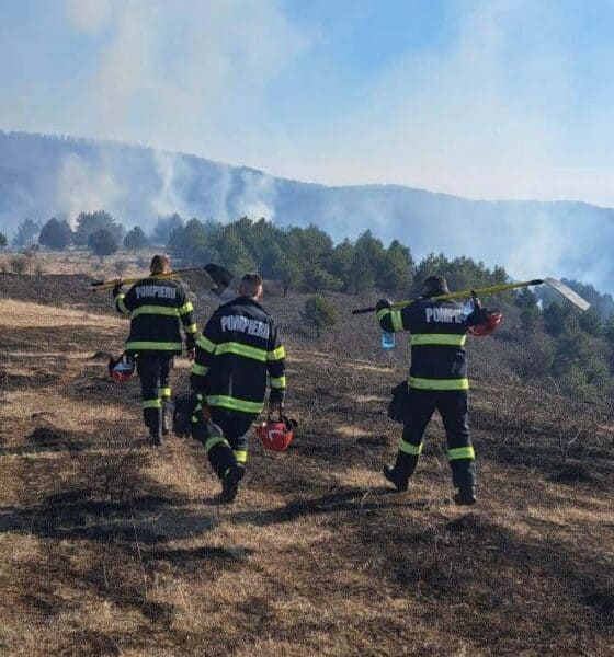 foto: incendiu pe 20 de hectare de teren în zona