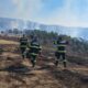 foto: incendiu pe 20 de hectare de teren în zona