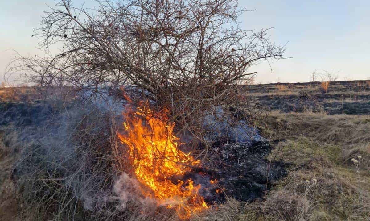 foto: incendiu pe cinci hectare de teren la pâclișa. intervin