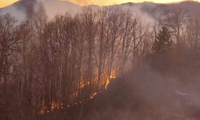 incendiu de pădure la valea vințului. acționează pompierii din sebeș,