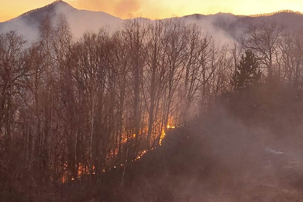 incendiu de pădure la valea vințului. acționează pompierii din sebeș,