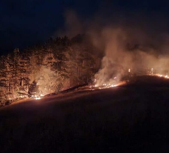 incendiu de vegetație uscată în comuna sălciua. intervin pompierii din