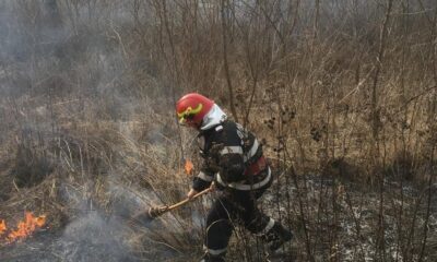 incendiu de vegetație uscată la gârbova. intervin pompierii din aiud