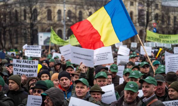 miercuri: silvicultorii protestează la ministerul mediului față de diminuarea cu