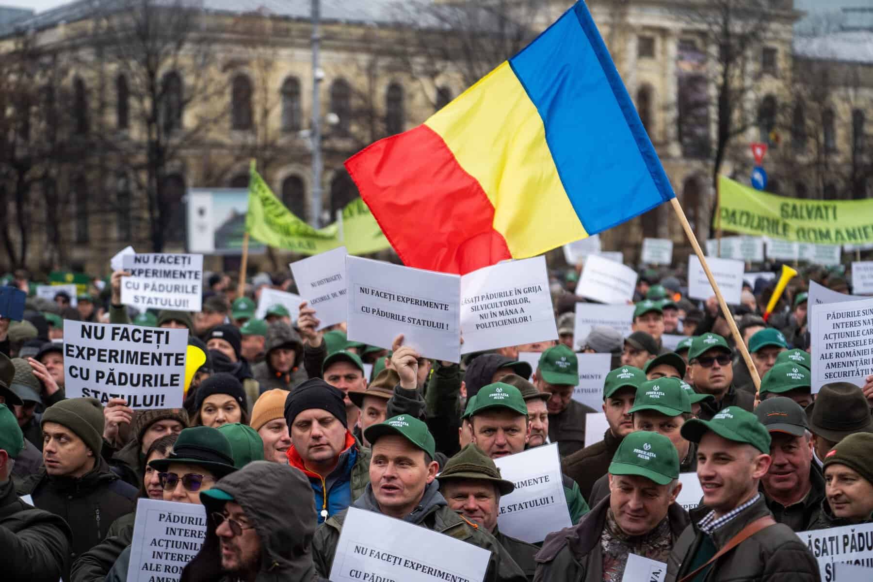 miercuri: silvicultorii protestează la ministerul mediului față de diminuarea cu