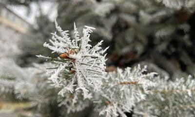 meteorologii au actualizat atenționarea cod galben de vreme rece. nopți