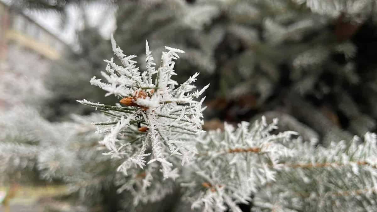 meteorologii au actualizat atenționarea cod galben de vreme rece. nopți