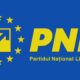 noul președinte pnl: cine preia conducerea partidului după ce bolojan