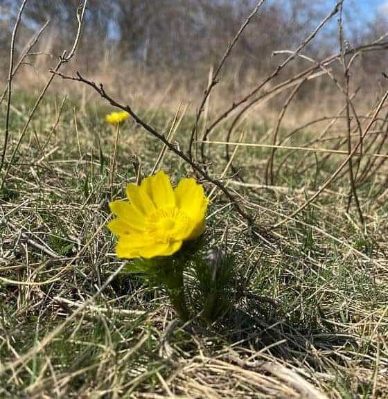 ora de vară 2025. când se schimbă ceasul și trecem