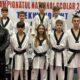 salbă de medalii pentru luptătorii de taekwondo din alba iulia,