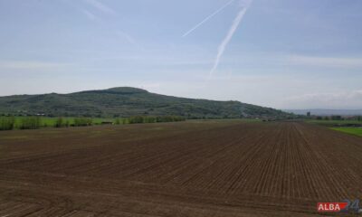 sprijin pentru fermierii români. proiectul think tank farm își propune