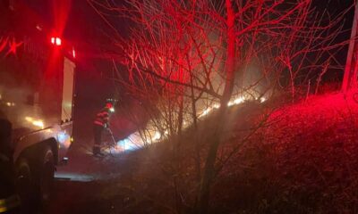 update foto: incendii de vegetație la gura cornei lângă abrud