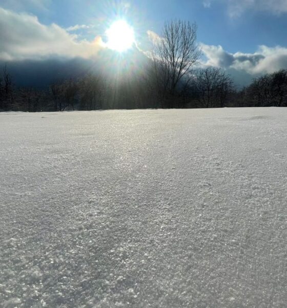 vremea de weekend în alba, 7 – 9 februarie: temperaturile