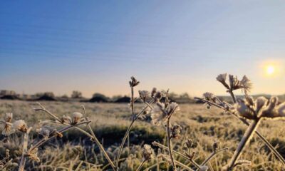 vremea de weekend în alba: soare și ger. cât de