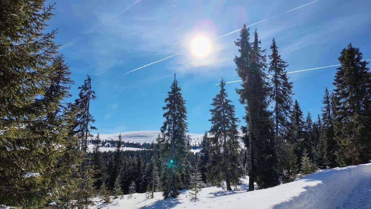 vremea în transilvania și în țară în următoarele două săptămâni.