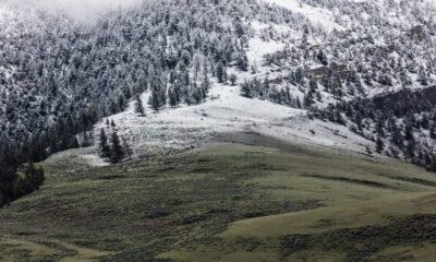 vremea în transilvania și în țară până în 2 martie.