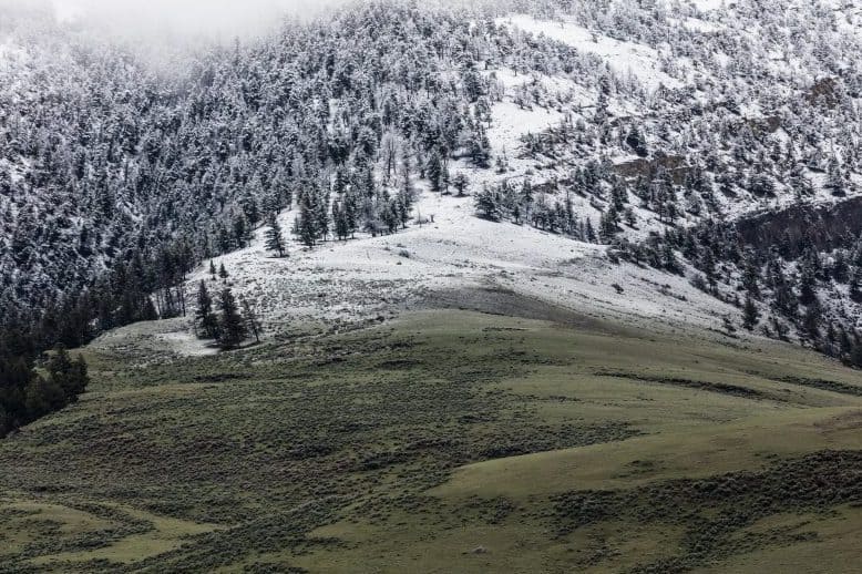 vremea în transilvania și în țară până în 2 martie.