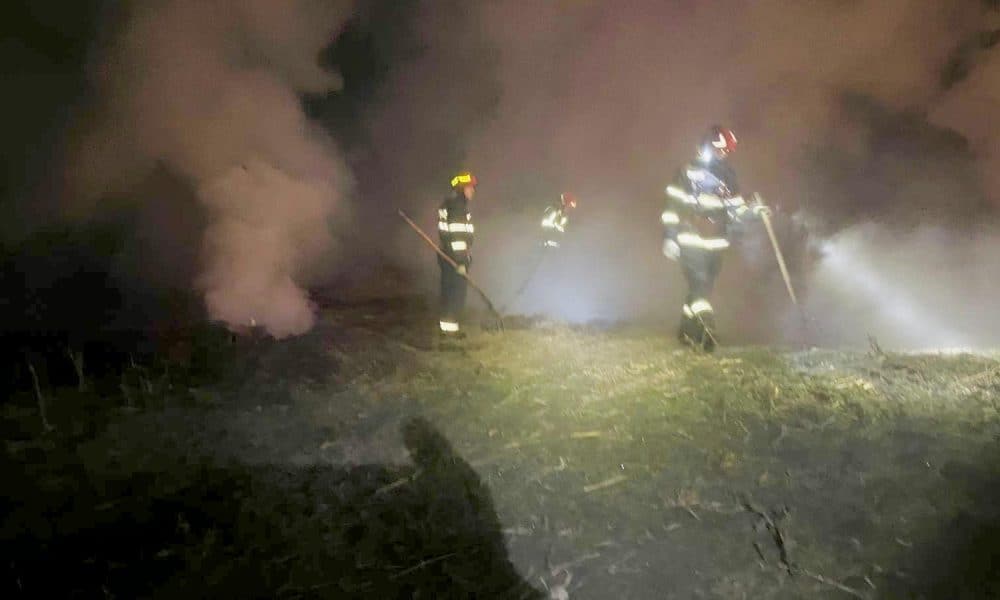 foto: zece tone de furaje distruse în urma unui incendiu,