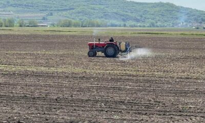 cum te înregistrezi în registrul agricol și obții atestatul de