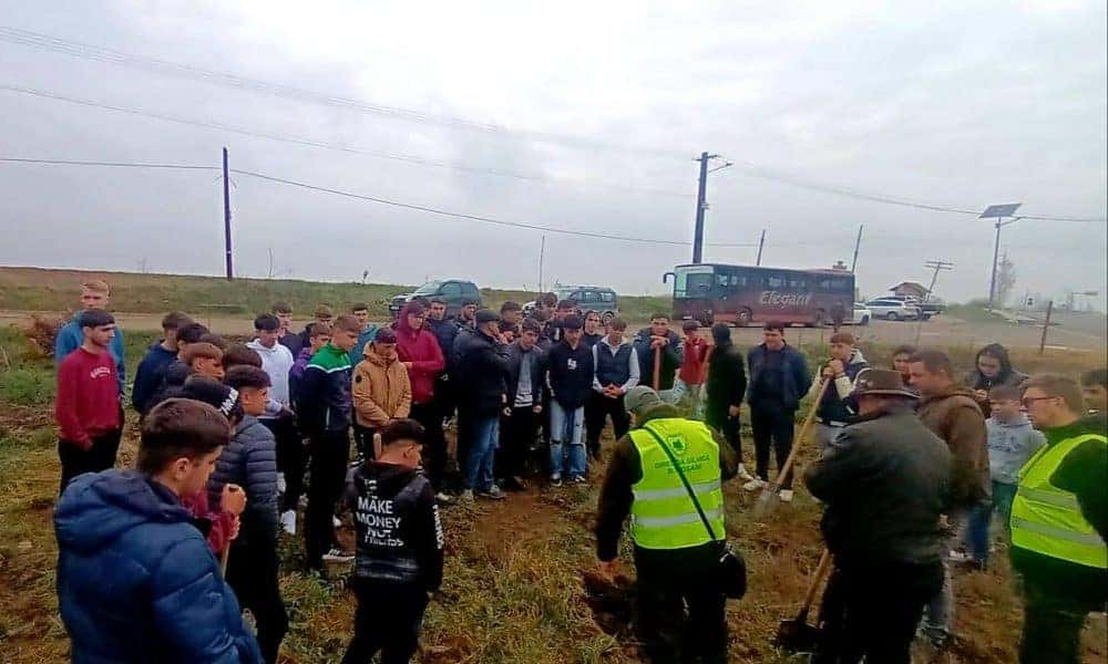 foto: elevii liceului „demostene botez” trușești au plantat puieți de