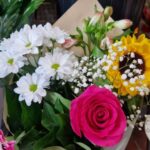 8 martie ziua femeii: limbajul florilor – ce transmit culorile.