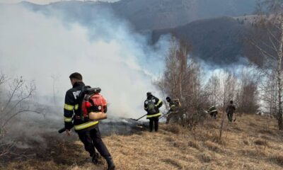 au ars peste 250 de hectare de pădure și vegetație