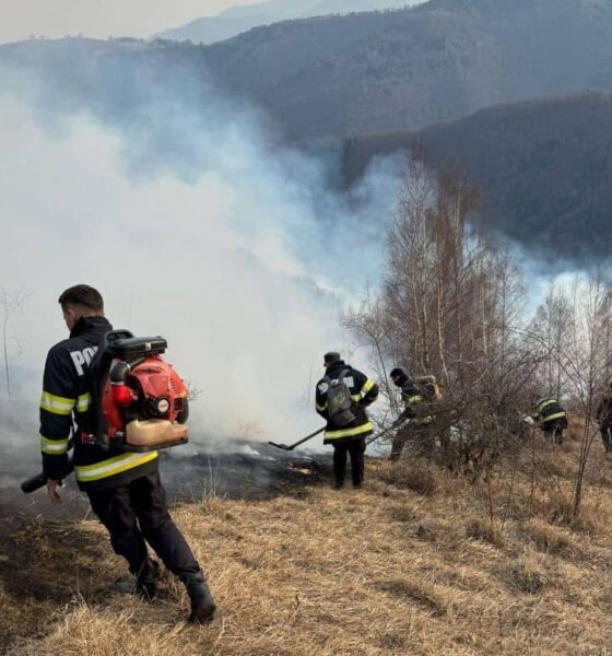 au ars peste 250 de hectare de pădure și vegetație