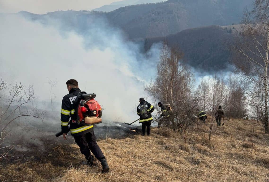 au ars peste 250 de hectare de pădure și vegetație