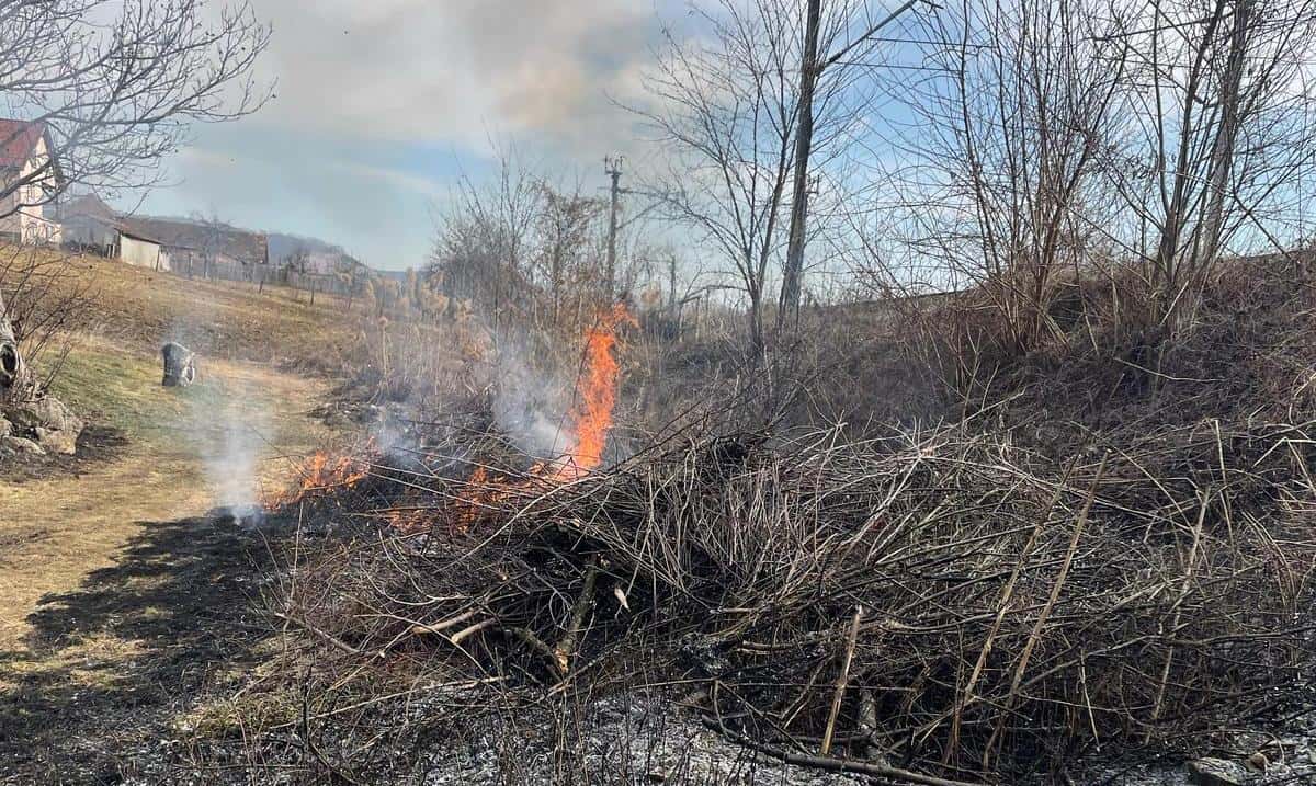 foto: incendiu de vegetație uscată la valea lungă. acționează pompierii