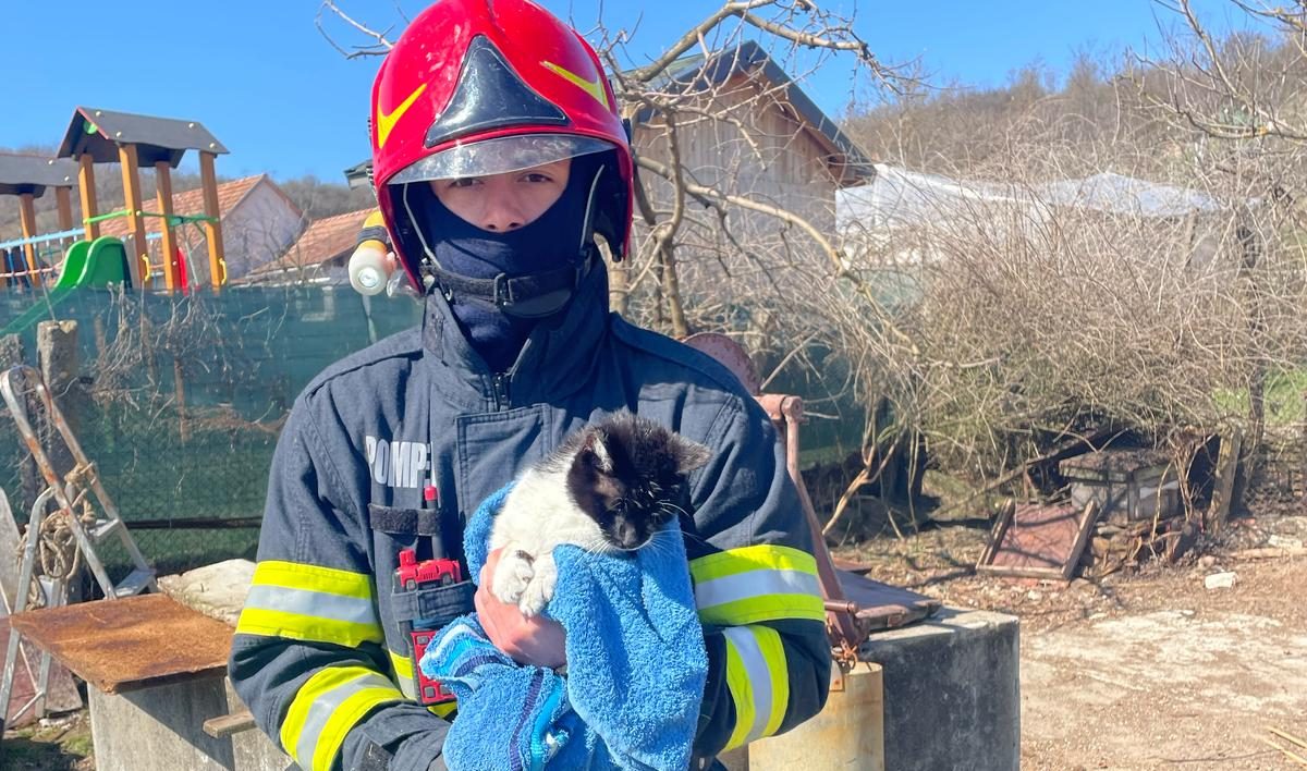 foto: pisică salvată de pompierii din blaj, dintr o fântână adâncă