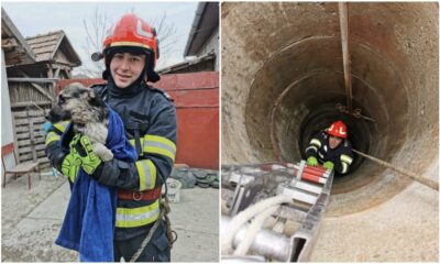 foto: un cățel a fost salvat de pompieri după ce