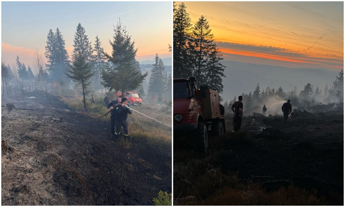 foto video: incendiu de vegetație în localitatea ocoliș. intervin pompierii din