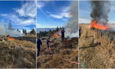 foto video: incendii de pădure și vegetație uscată la ceru băcăinți, albac,