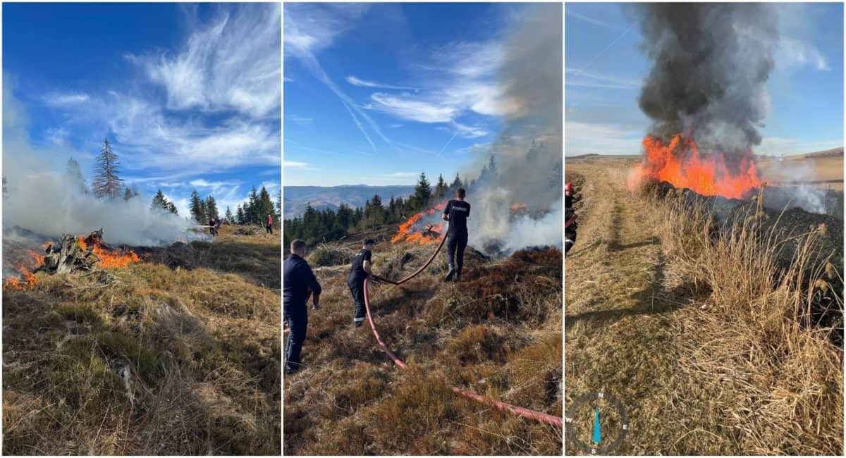 foto video: incendii de pădure și vegetație uscată la ceru băcăinți, albac,