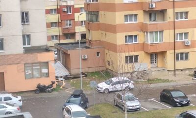 foto video: pagube după furtună, la alba iulia. un copac a