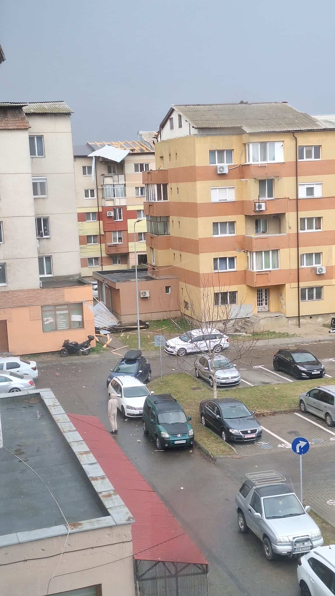 foto video: pagube după furtună, la alba iulia. un copac a