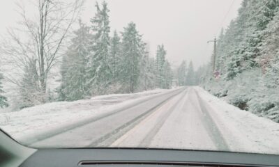 foto: ninge abundent în mai multe zone din apuseni. zăpadă