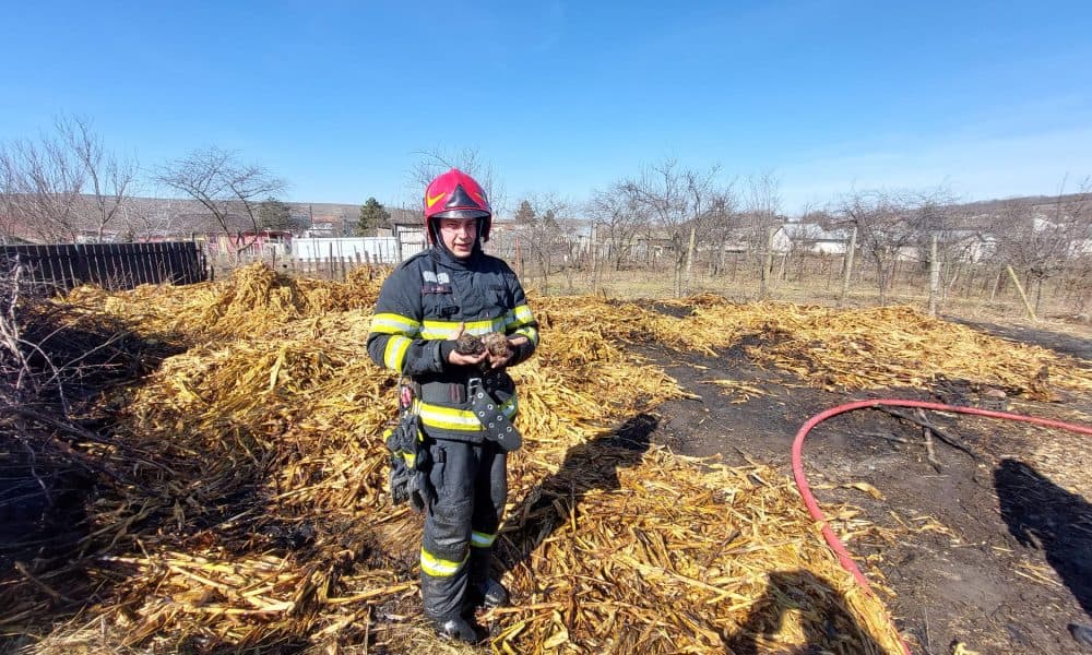 patru incendii în ultimele ore, în județul botoșani: isu trage