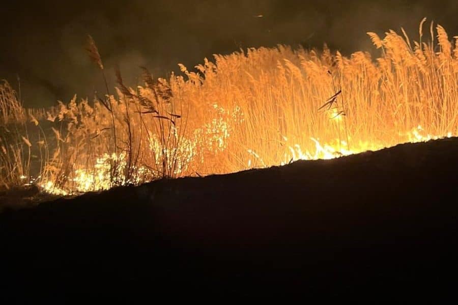 cinci incendii de vegetație în județul botoșani, în ultimele ore.