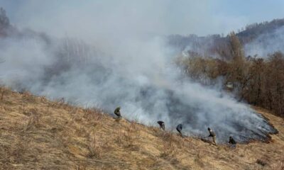 isu alba: 9 incendii de pădure și vegetație, în a